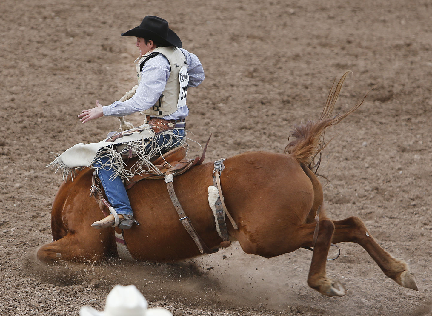 La Fiesta de los Vaqueros